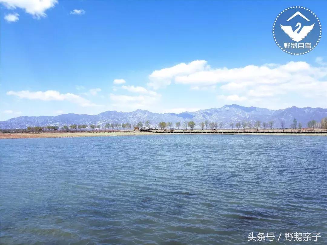 每台大风车造价多少钱,一个大风车造价需要多少钱