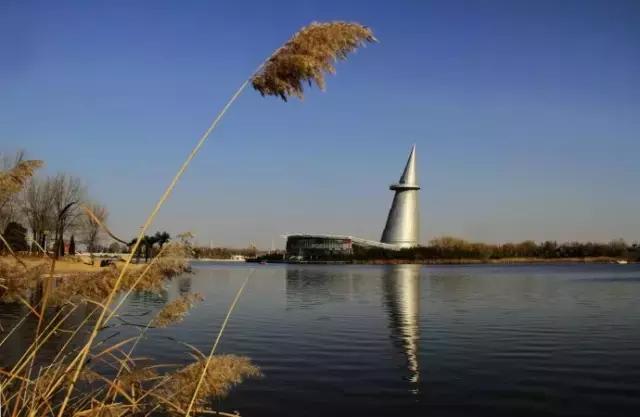 旅游打卡河南最值得去的十个景区,河南必去四大旅游景点