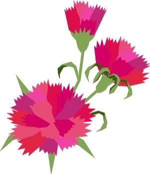 母亲节送花送啥花最合适,母亲节除了送花还能送什么学生党