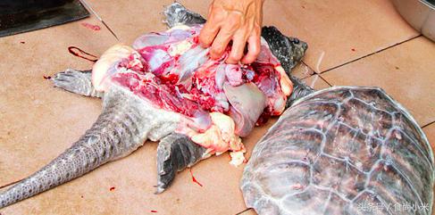 杭州男子钓10斤重鱼,浙江杭州男子钓到近70斤重大鱼