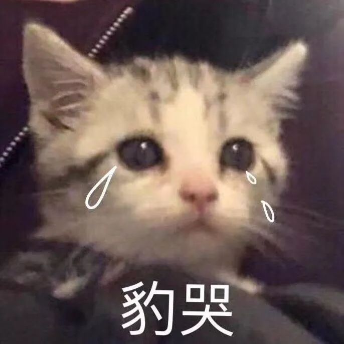 有一种小音粉丝叫“妈妈”｜母亲节，温情脉脉致最好的您~