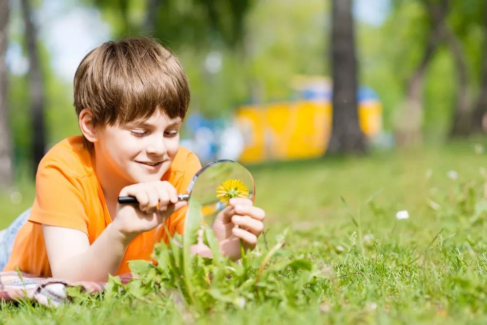 成绩差怎么办？智商不够怎么补？靠好奇心