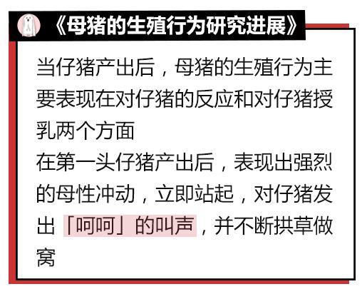 微信聊天怎么拉黑才不会被发现,微信要怎么做才不会被拉黑
