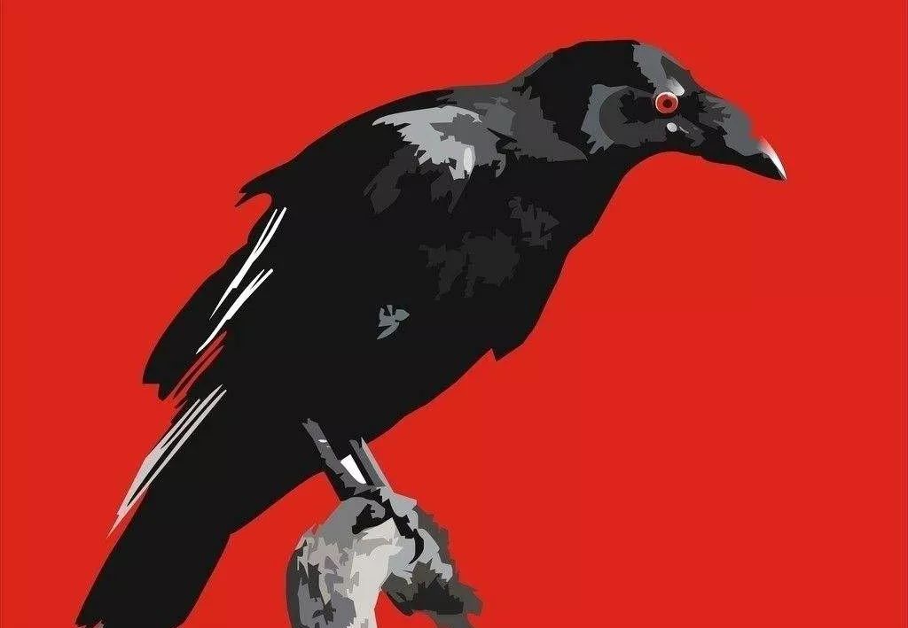 鸟和人类基因相似度多少,鸟和猫的智商哪个高