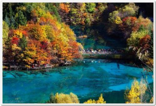 游仙境完整视频,神奇仙境梦幻世界