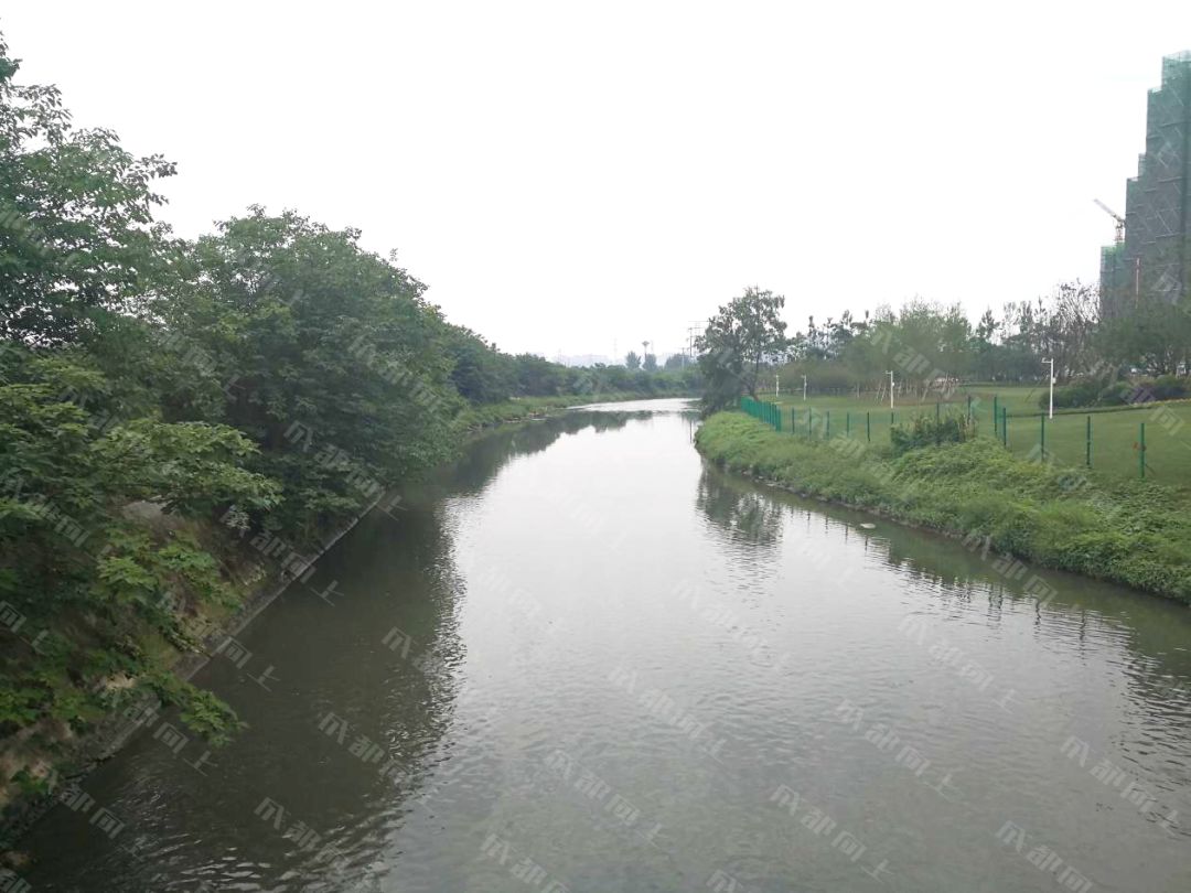 打通断头路小半年后，大源西现在怎么样了？