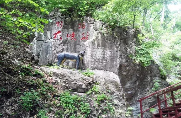 从长春出发东北合适的旅游路线,长春隐藏的景点