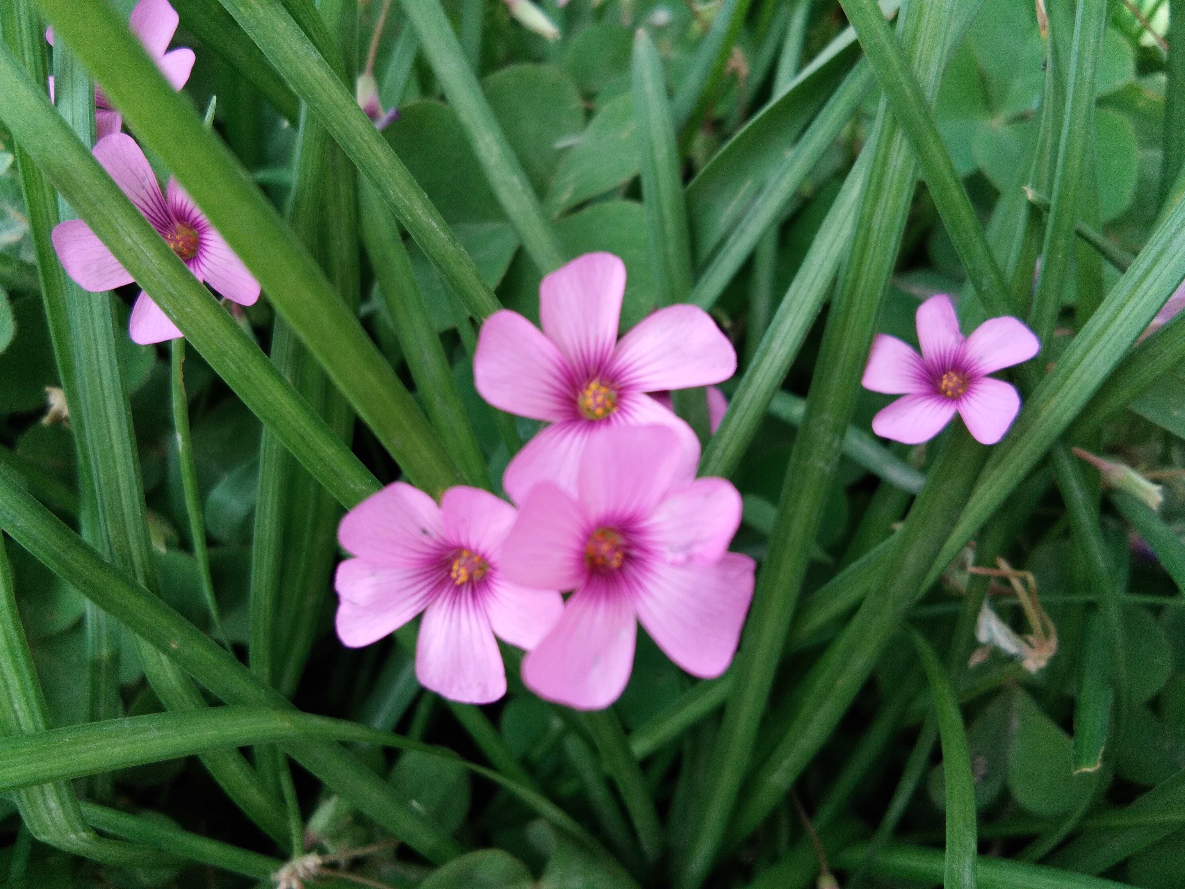 脚踏汉城湖公园全程!感受汉武辉煌!