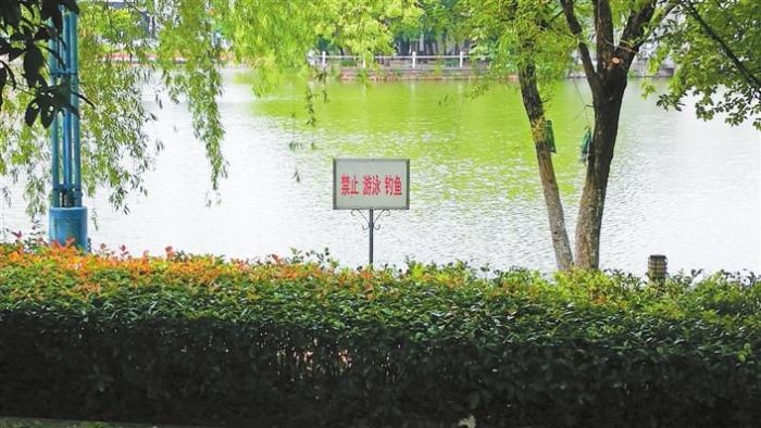 朋友圈嘲讽钓鱼的视频,朋友圈钓鱼吐槽