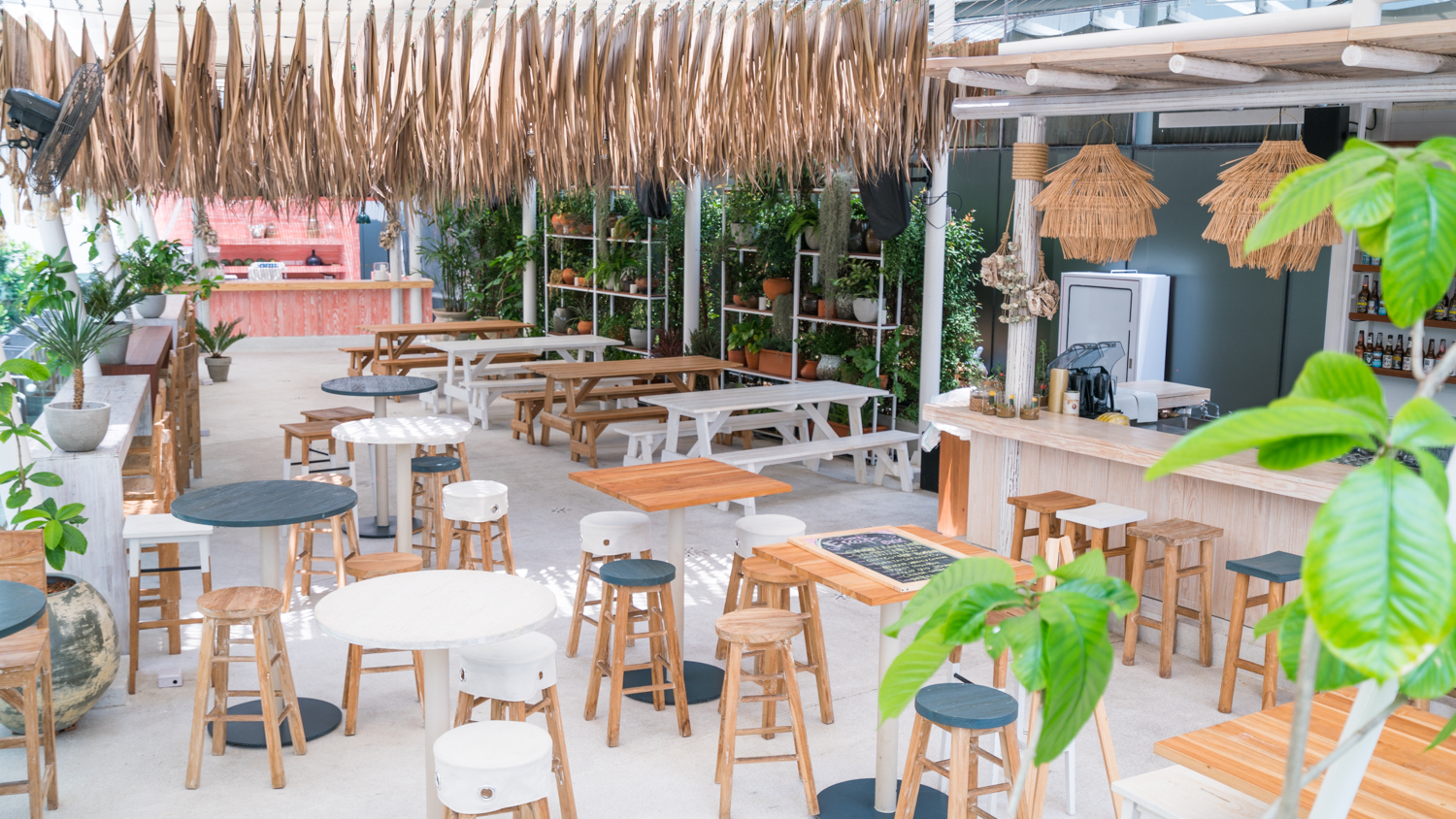 泰国旅游曼谷清迈攻略,泰国清迈的旅游攻略