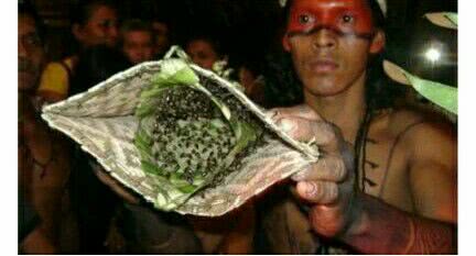 为什么世界各地都有成人礼,世界成人礼大全