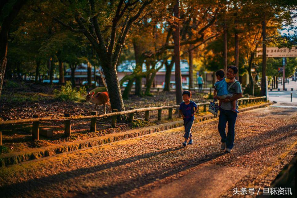 上海人均身价是多少,上海人均身价