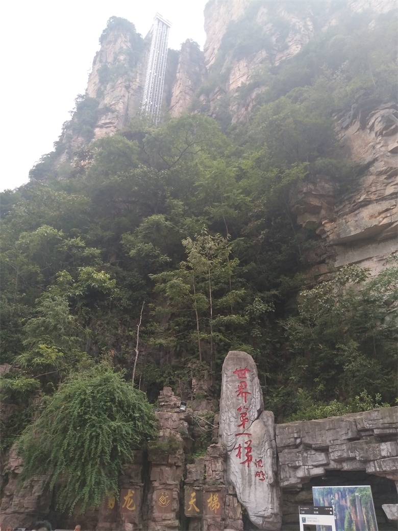 香港人组团游张家界,姐妹相约张家界三日游