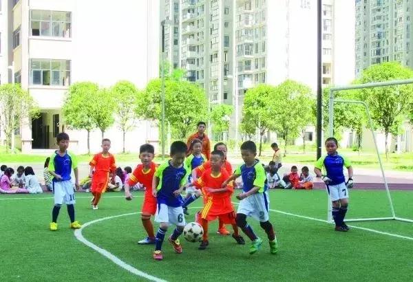 寮哄仴浣撻瓌纾ㄧ牶鎰忓織,鍋ュ己浣撻瓌绛戞ⅵ鍓嶈娲诲姩鎬荤粨