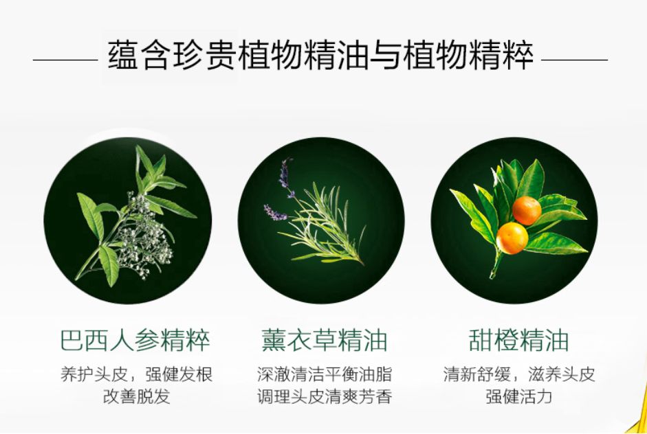 侧柏叶怎么防脱发和生发偏方大全,防脱发偏方用多久见效