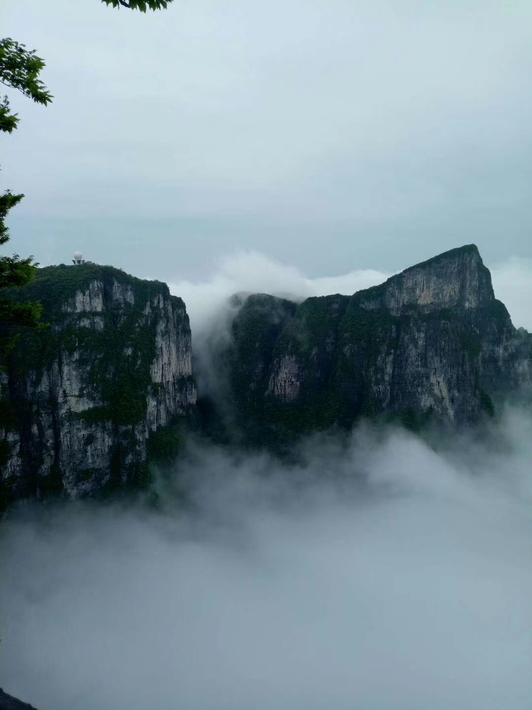 香港人组团游张家界,姐妹相约张家界三日游