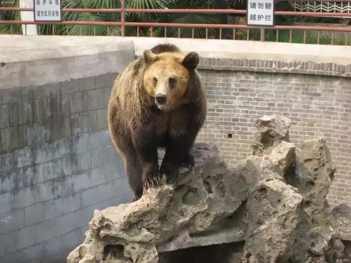 芜湖最美的10个地方,芜湖最美的景点