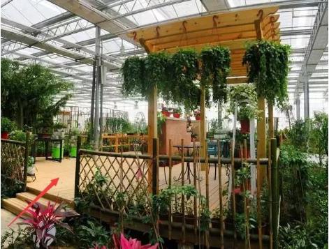 会唱歌的公路原理,会唱歌的公路视频