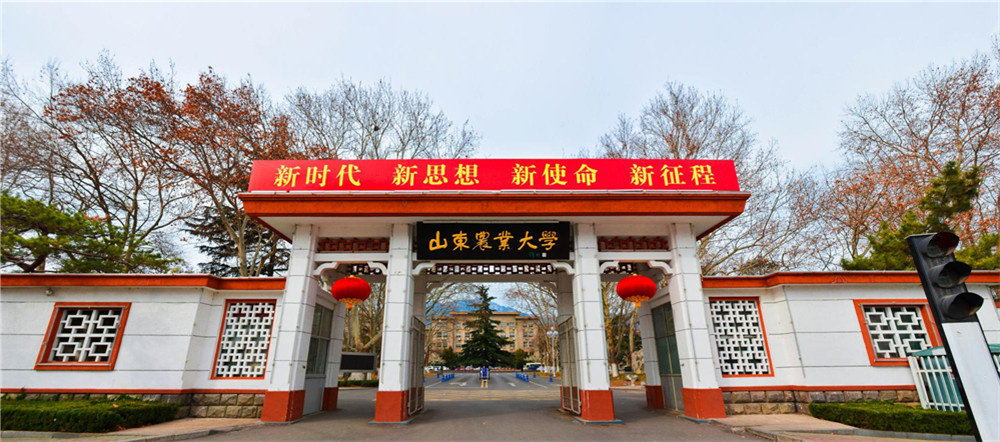 “月季王子”带着农民走上致富路——山东农大学生邓应龙“一世花开”创业团队的乡村振兴梦