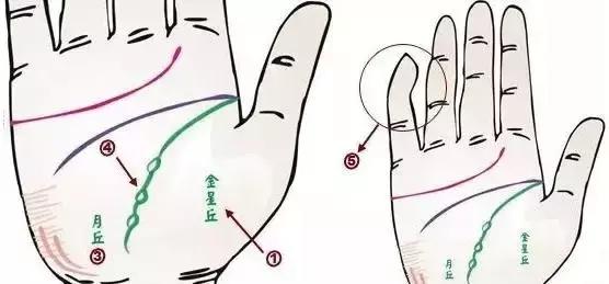 手诊了解一个人的性格和健康,十个最简单的手诊图