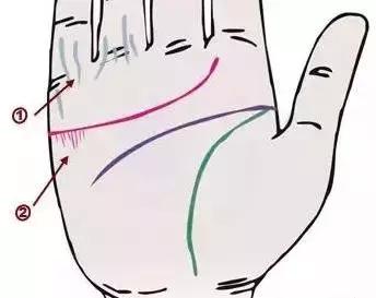 手诊了解一个人的性格和健康,十个最简单的手诊图