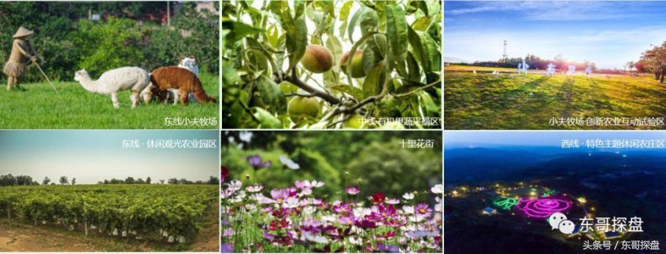 郑州的欧洲小镇,郑州富人的真实生活