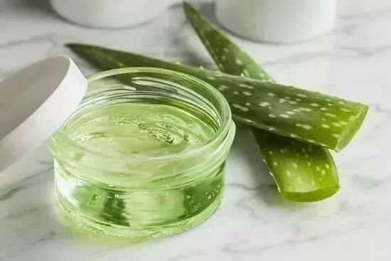 家里养一盆钱兜好吗,家里养一盆花就挺好