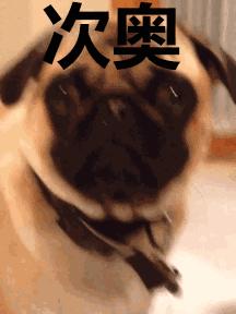 荷兰便宜超市,荷兰最实惠的超市