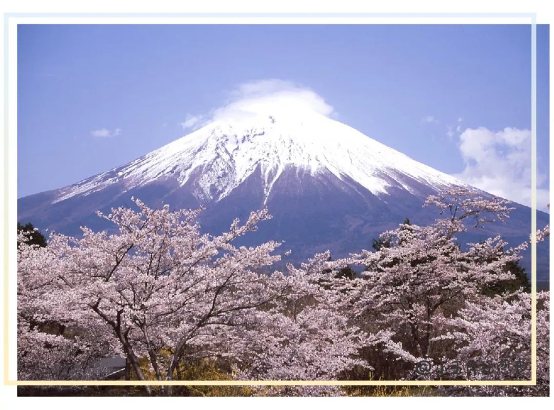 靠谱的日本代购推荐,如何寻找靠谱日本代购