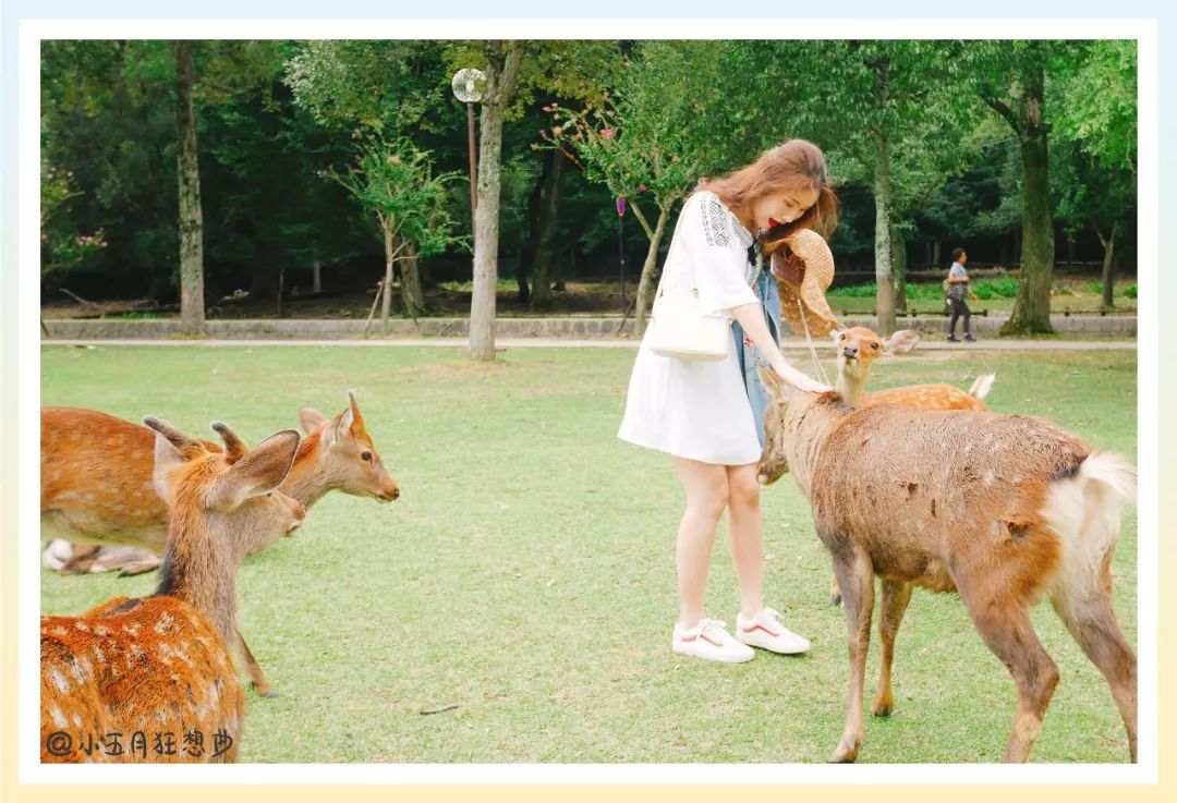 怎么找靠谱的日本代购,日本代购有哪些比较靠谱的