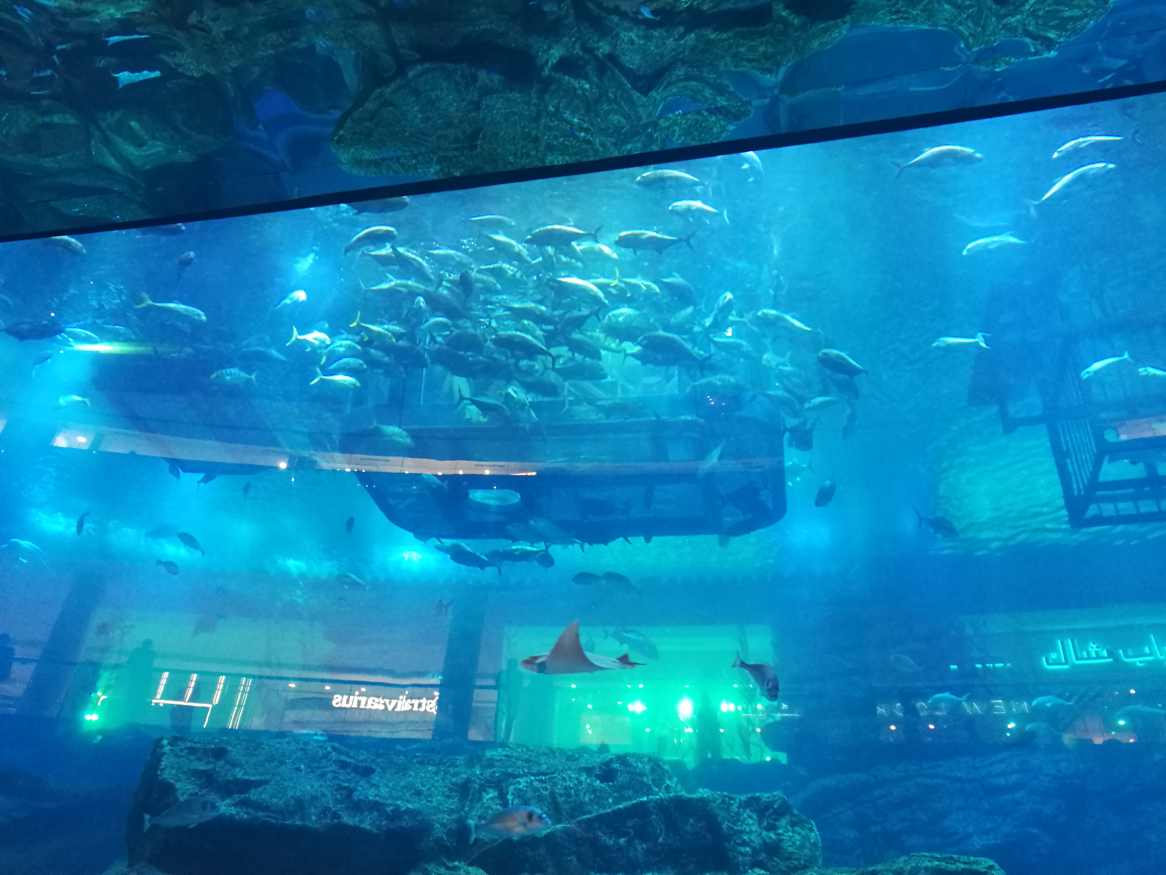 阿联酋开斋节高速,阿联酋开斋节祝福语