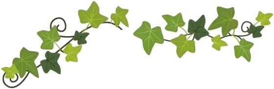 一个号码的呼叫转移,呼叫转移0.1元一分钟