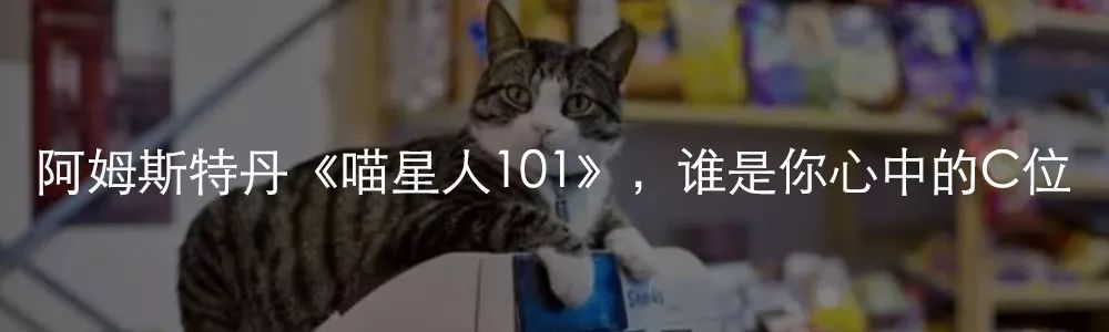 荷兰留学公寓租房攻略及费用,荷兰留学租房中介推荐