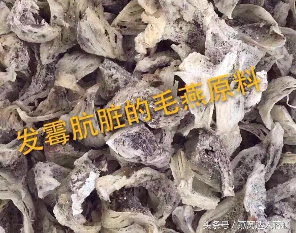 如何分辨真燕窝和假燕窝,燕窝造假小视频