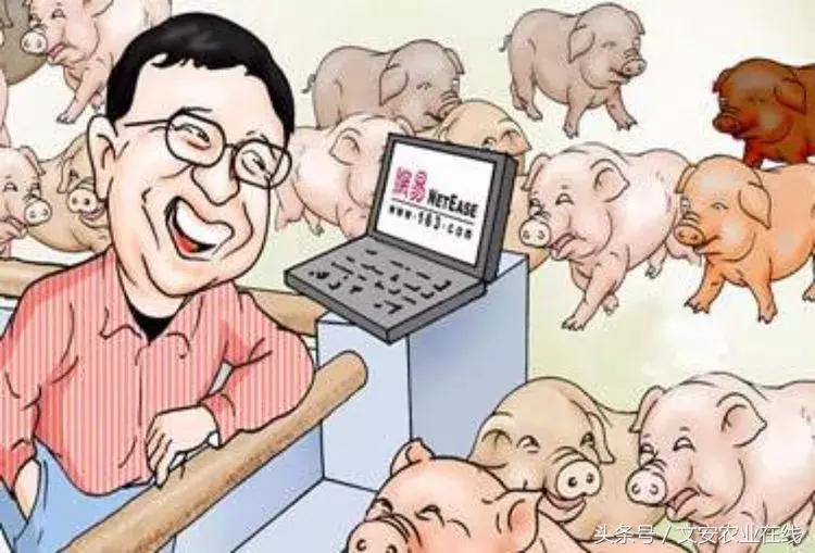 为什么大佬都投入农业,为什么商业大佬都去搞农业