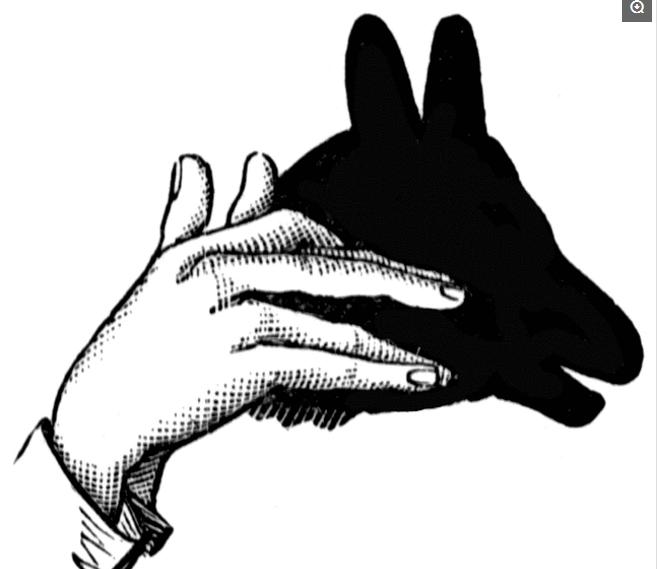 简单的手影游戏的教学,儿童手影游戏