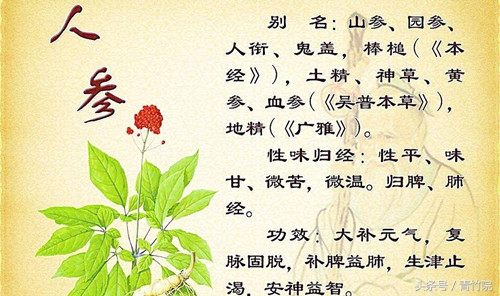 药能治病吗,好听的中药名字和药效