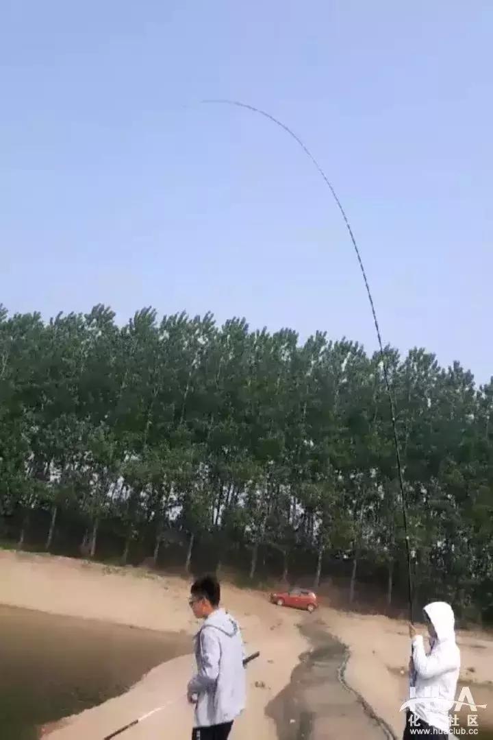 龙纹鲤大鲫大鲤测评,化氏龙纹鲤四代8米1的钓竿多少钱