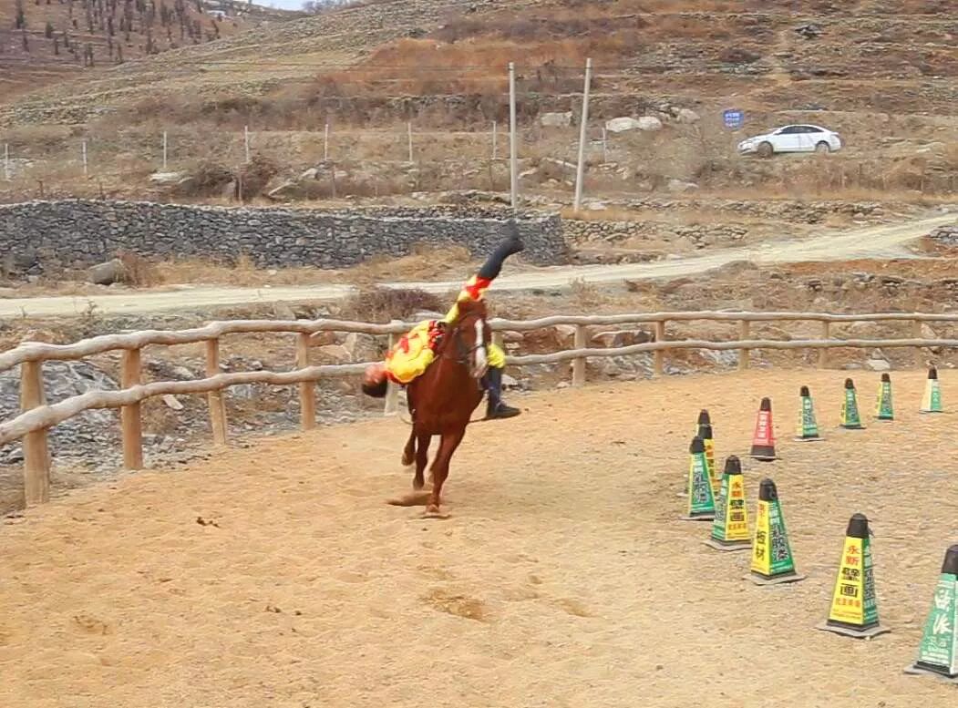 端午节我们要划龙舟还要干什么呢,端午节划龙舟的地方在哪里