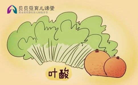 含叶酸多的食物和水果蔬菜有哪些,哪些食物含有叶酸和维生素a