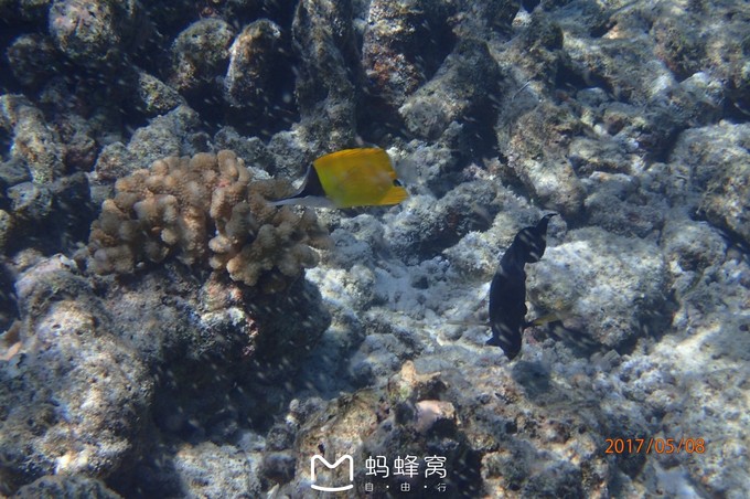 蜜月胜地之马尔代夫,马尔代夫芙拉瓦丽浪漫的梦幻之地