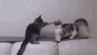 孩子先打人被还手打哭了怎么办,小孩打人或被打该怎么处理