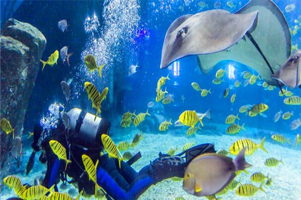 福建连江美丽乡村,福建连江文明县