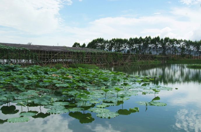 「诗词原创」聂双|春波碧草娇红媚燕语莺言意挽归