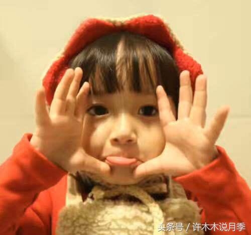 月季顶端新芽发软是什么原因,月季新芽萎蔫老叶正常是怎么回事