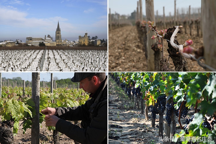 波尔多8大酒庄,波尔多八大庄