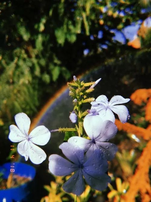 小贾和卡戴珊都用的拍立得APP，真得不试一下吗？丨编辑推荐