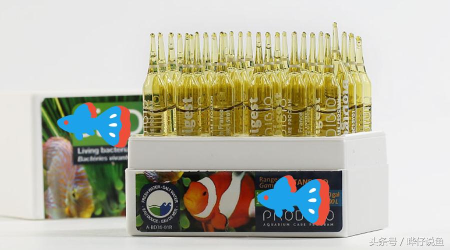 养鱼喂食日常注意事项大全,养鱼老三样是每天都要换水加盐吗