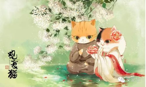 怎样知道猫咪的星座是什么座,十二星座的猫咪性格排名