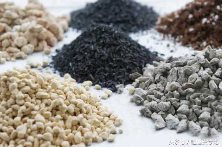 颗粒土和营养土哪个养多肉好,养多肉用什么土和什么肥料